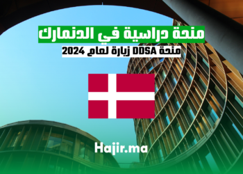 منحة دراسية في الدنمارك: منحة DDSA زيارة لعام 2024