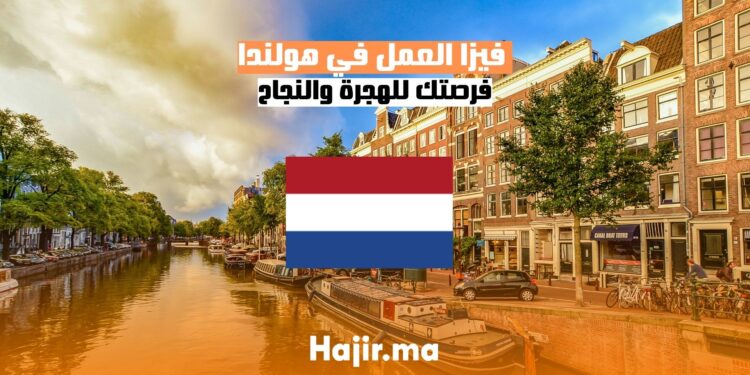 الحصول على فيزا العمل في هولندا دليل شامل