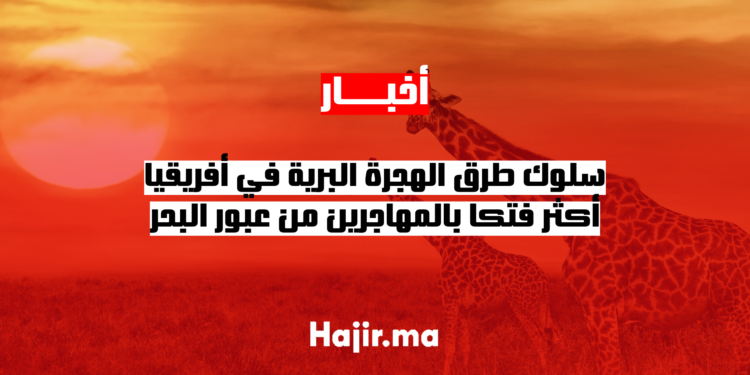 سلوك طرق الهجرة البرية في أفريقيا أكثر فتكا بالمهاجرين من عبور البحر