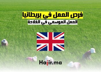 فرص العمل الموسمي في الفلاحة في بريطانيا