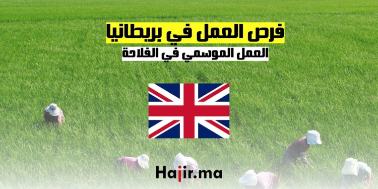 فرص العمل الموسمي في الفلاحة في بريطانيا