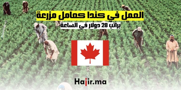 فرص العمل في كندا كعامل مزرعة براتب 28 دولارًا في الساعة
