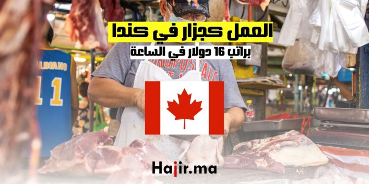 فرص العمل كجزار في كندا براتب 16 دولار في الساعة