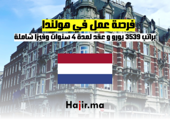 فرصة عمل في هولندا براتب 3539 يورو شهريًا: عقد لمدة 4 سنوات وفيزا شاملة