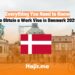 Everything You Need to Know to Obtain a Work Visa in Denmark 2025