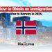 How to Obtain an Immigration Visa to Norway in 2025