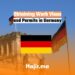 Obtaining Work Visas and Permits in Germany