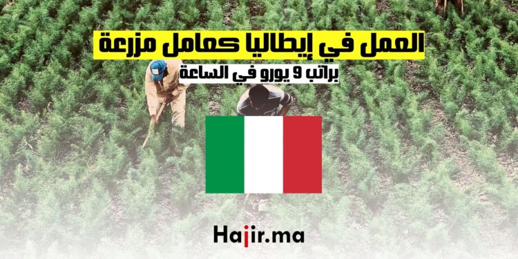 فرص العمل في إيطاليا كعامل مزرعة براتب 9 يورو في الساعة