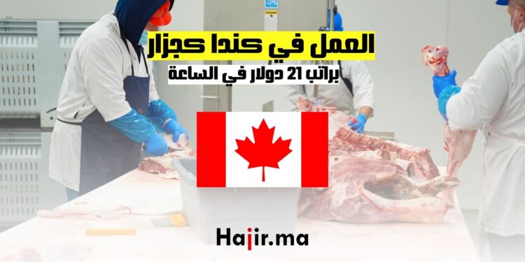 فرص العمل في كندا كجزار براتب 21 دولارًا في الساعة