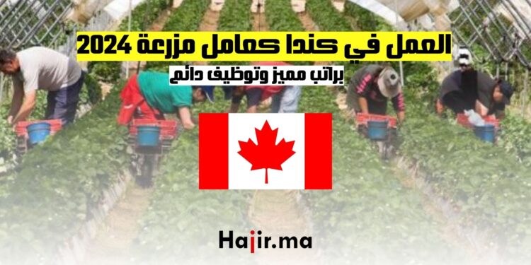 فرص العمل في كندا كعامل مزرعة 2024 راتب مميز وتوظيف دائم