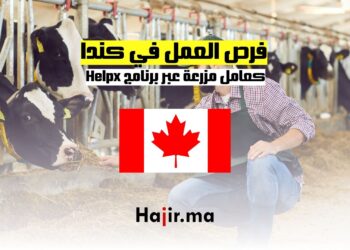 فرص العمل في كندا كعامل مزرعة عبر برنامج Helpx