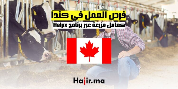 فرص العمل في كندا كعامل مزرعة عبر برنامج Helpx