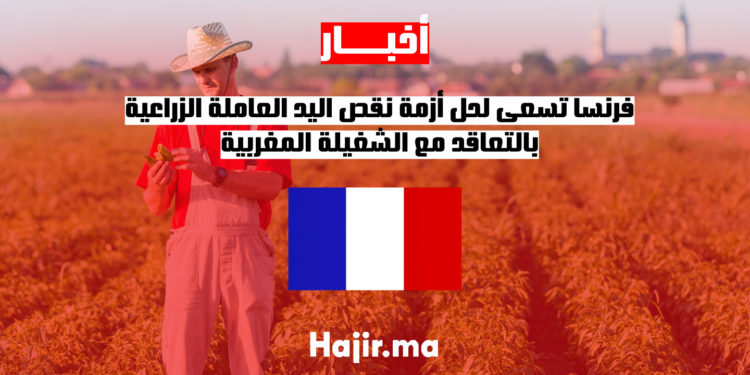 فرنسا تسعى لحل أزمة نقص اليد العاملة الزراعية بالتعاقد مع الشغيلة المغربية