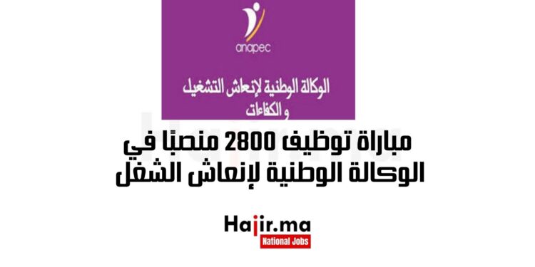 مباراة توظيف 2800 منصبًا في الوكالة الوطنية لإنعاش الشغل والمهارات (أنابيك)