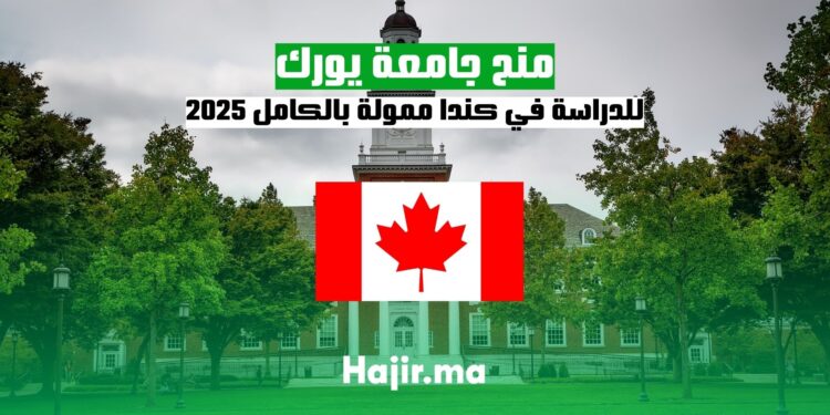 منح جامعة يورك للدراسة في كندا ممولة بالكامل 2025