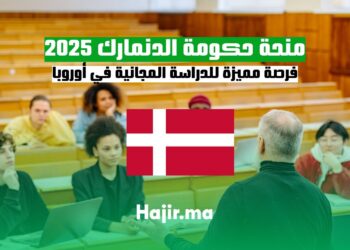 منحة حكومة الدنمارك 2025 فرصة مميزة للدراسة المجانية في أوروبا