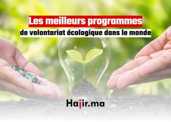Les meilleurs programmes de volontariat écologique dans le monde