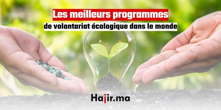 Les meilleurs programmes de volontariat écologique dans le monde