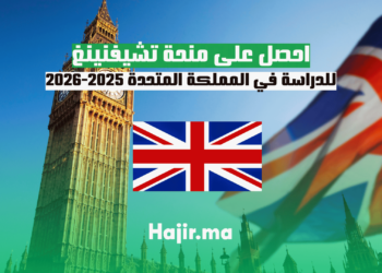 احصل على منحة تشيفنينغ للدراسة في المملكة المتحدة 2025-2026