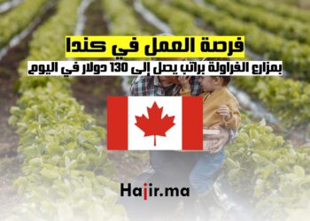 العمل في كندا
