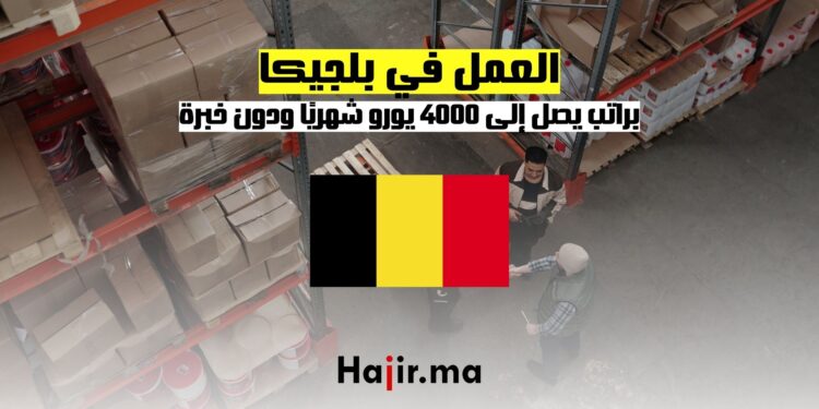فرصة العمل في بلجيكا: براتب يصل إلى 4000 يورو شهريًا ودون خبرة