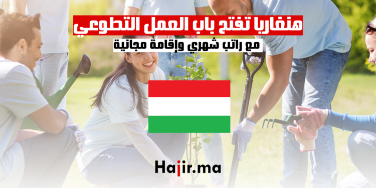 هنغاريا تفتح باب العمل التطوعي مع راتب شهري وإقامة مجانية