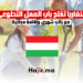 هنغاريا تفتح باب العمل التطوعي مع راتب شهري وإقامة مجانية
