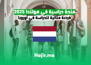 تعرف على تفاصيل منحة الدراسة في هولندا 2025 وفرص التمويل المتاحة
