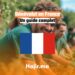 Bénévolat en France Un guide complet
