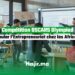 Compétition OSCARS Olympiad Stimuler l'Entrepreneuriat chez les Jeunes Africains