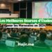Les Meilleures Bourses d'Études pour les Marocains en 2024