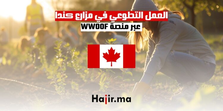 العمل التطوعي في مزارع كندا عبر منصة WWOOF