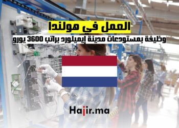 فرصة العمل في هولندا