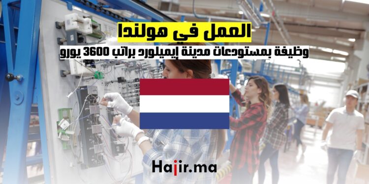 فرصة العمل في هولندا