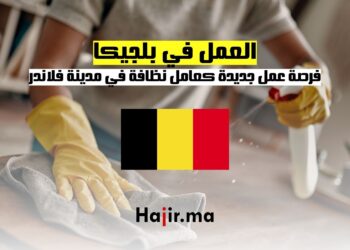 العمل في بلجيكا