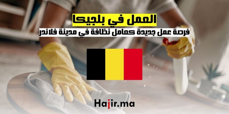 العمل في بلجيكا