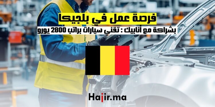 فرصة عمل في بلجيكا بشراكة مع أنابيك تقني سيارات براتب 2800 يورو