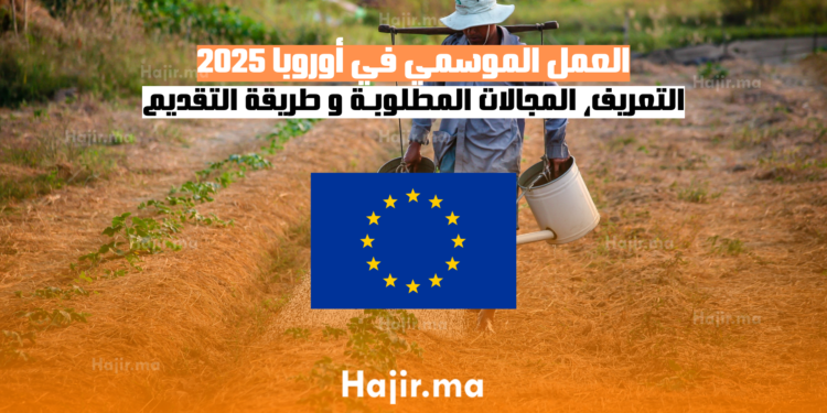العمل الموسمي في أوروبا 2025 التعريف وكيفية التقديم