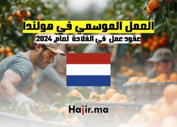 عقود العمل الموسمي في الفلاحة بهولندا لعام 2024