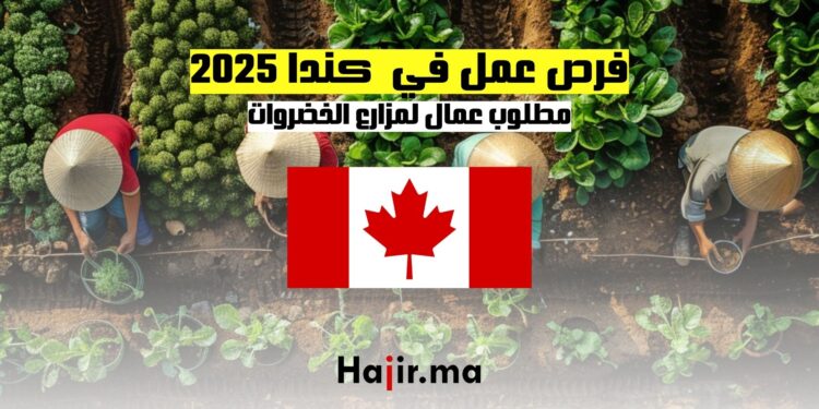 فرص عمل في كندا 2025