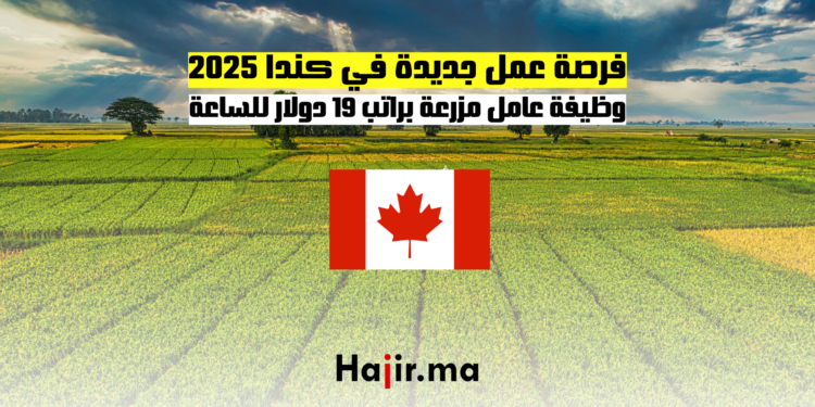 فرصة عمل جديدة في كندا 2025 وظيفة عامل مزرعة براتب 19 دولار للساعة