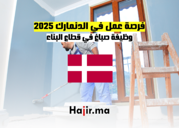 فرصة عمل في الدنمارك 2025 وظيفة صباغ في قطاع البناء
