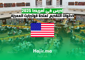 إدرس في أمريكا 2025 خطوات التقديم لمنحة فولبرايت المميزة