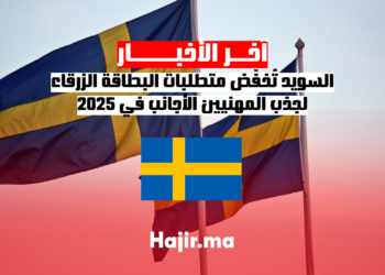 السويد تُخفّض متطلبات البطاقة الزرقاء لجذب المهنيين الأجانب في 2025