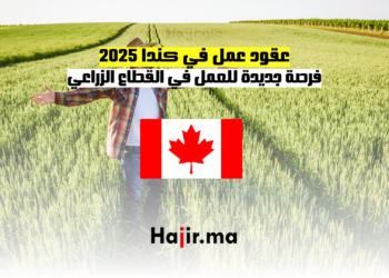 عقود عمل في كندا 2025 فرصة جديدة للعمل في القطاع الزراعي