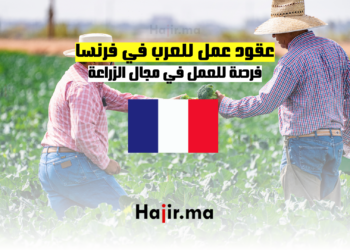 عقود عمل للعرب في فرنسا فرصة للعمل في مجال الزراعة