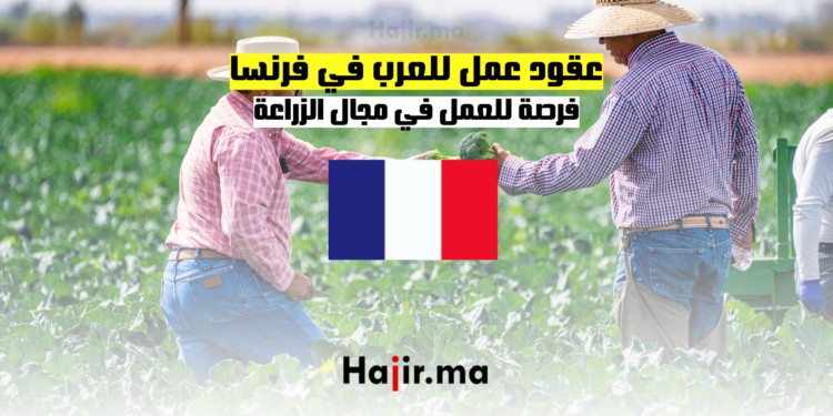 عقود عمل للعرب في فرنسا فرصة للعمل في مجال الزراعة