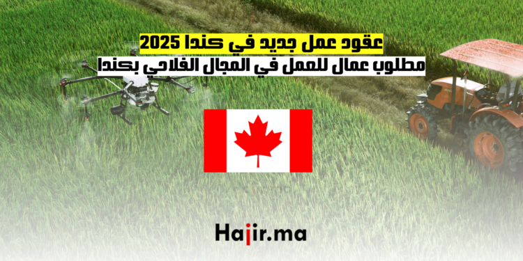 مطلوب عمال للعمل في المجال الفلاحي بكندا 2025