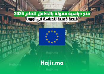 منح دراسية ممولة بالكامل للعام 2025 فرصة ذهبية للدراسة في أوروبا