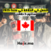 العمل في الحلاقة في كندا 2025 مطلوب 3 حلاقين